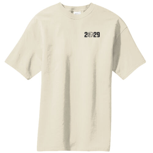 Unisex/Mens 100% Cotton T-shirt Thumbnail
